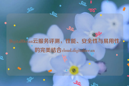 DigitalOcean云服务评测，性能、安全性与易用性的完美结合cloud.digitalocean