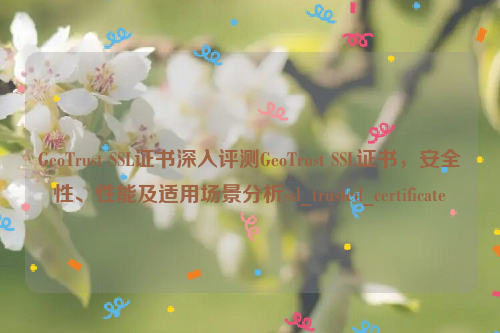 GeoTrust SSL证书深入评测GeoTrust SSL证书，安全性、性能及适用场景分析ssl_trusted_certificate