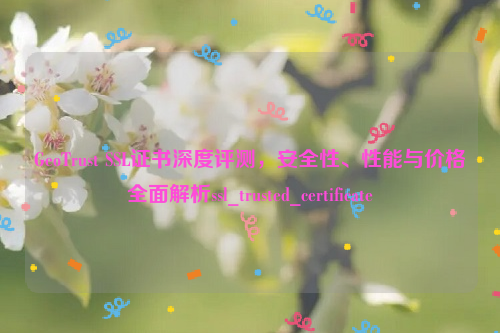 GeoTrust SSL证书深度评测，安全性、性能与价格全面解析ssl_trusted_certificate