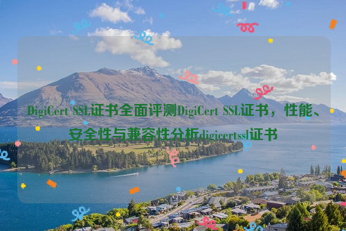 DigiCert SSL证书全面评测DigiCert SSL证书，性能、安全性与兼容性分析digicertssl证书