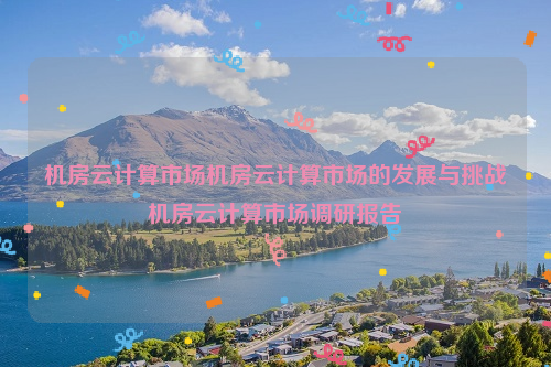 机房云计算市场机房云计算市场的发展与挑战机房云计算市场调研报告