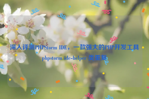 深入评测PHPStorm IDE，一款强大的PHP开发工具phpstorm ide-helper 类重复