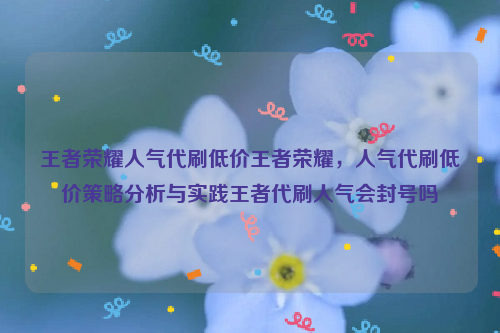 王者荣耀人气代刷低价王者荣耀，人气代刷低价策略分析与实践王者代刷人气会封号吗