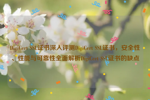 DigiCert SSL证书深入评测DigiCert SSL证书，安全性、性能与可靠性全面解析DigiCert SSL证书的缺点