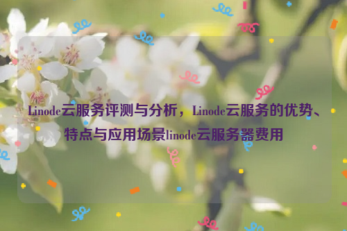 Linode云服务评测与分析，Linode云服务的优势、特点与应用场景linode云服务器费用