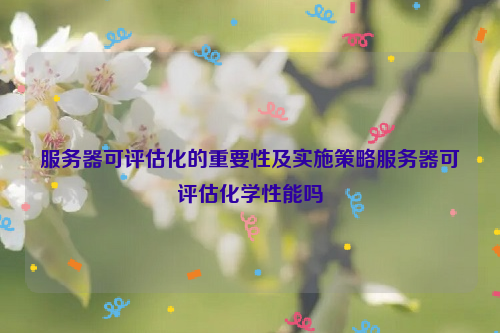 服务器可评估化的重要性及实施策略服务器可评估化学性能吗