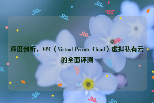 深度剖析，VPC（Virtual Private Cloud）虚拟私有云的全面评测