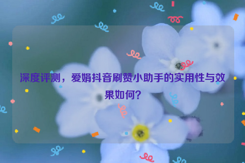 深度评测，爱娟抖音刷赞小助手的实用性与效果如何？