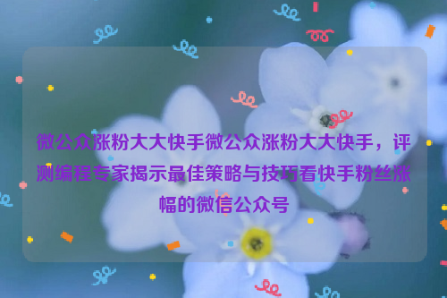 微公众涨粉大大快手微公众涨粉大大快手，评测编程专家揭示最佳策略与技巧看快手粉丝涨幅的微信公众号