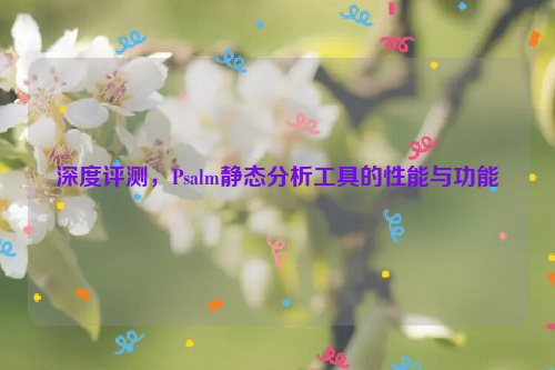 深度评测，Psalm静态分析工具的性能与功能