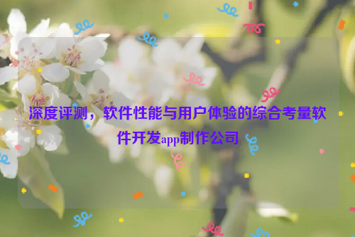 深度评测，软件性能与用户体验的综合考量软件开发app制作公司