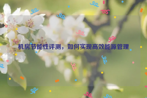 机房节能性评测，如何实现高效能源管理