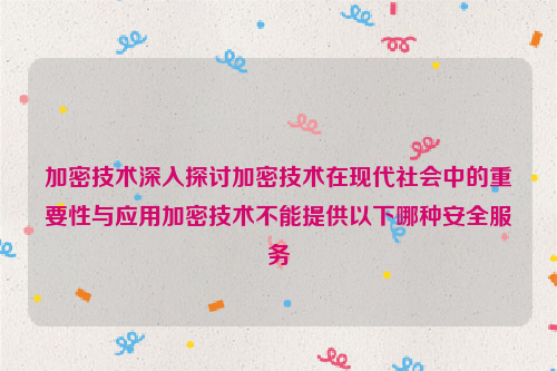 加密技术深入探讨加密技术在现代社会中的重要性与应用加密技术不能提供以下哪种安全服务