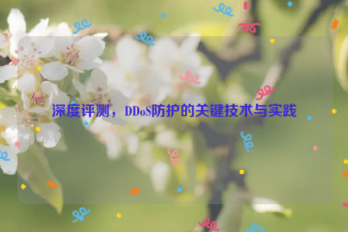 深度评测，DDoS防护的关键技术与实践