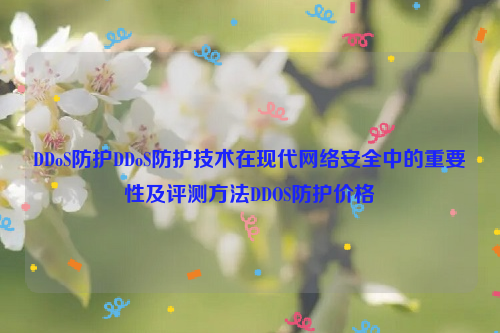 DDoS防护DDoS防护技术在现代网络安全中的重要性及评测方法DDOS防护价格