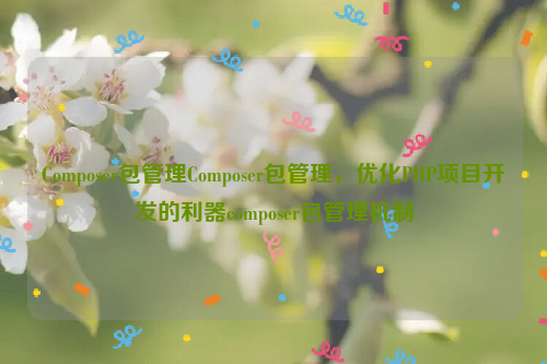 Composer包管理Composer包管理，优化PHP项目开发的利器composer包管理机制