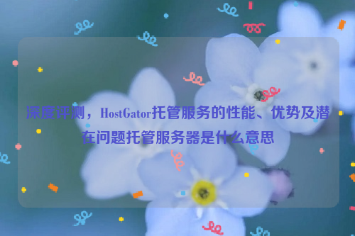 深度评测，HostGator托管服务的性能、优势及潜在问题托管服务器是什么意思