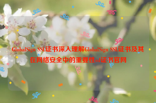 GlobalSign SSL证书深入理解GlobalSign SSL证书及其在网络安全中的重要性ssl证书官网