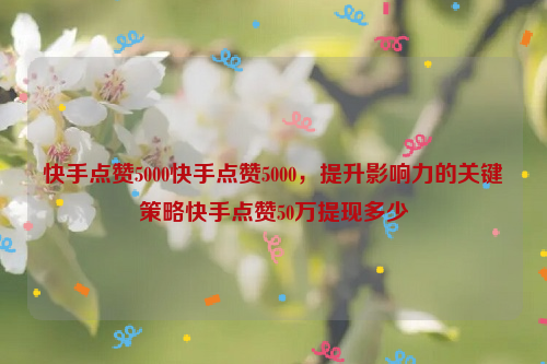 快手点赞5000快手点赞5000，提升影响力的关键策略快手点赞50万提现多少