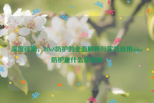 深度评测，DDoS防护的全面解析与实践应用ddos防护是什么意思啊