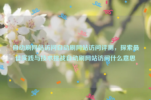 自动刷网站访问自动刷网站访问评测，探索最佳实践与技术挑战自动刷网站访问什么意思