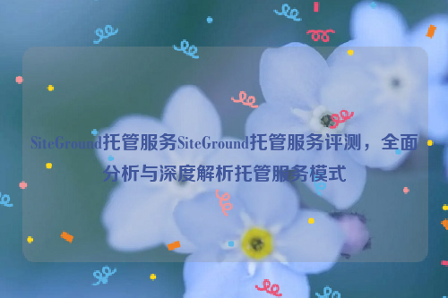 SiteGround托管服务SiteGround托管服务评测，全面分析与深度解析托管服务模式