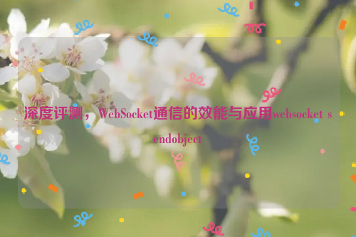 深度评测，WebSocket通信的效能与应用websocket sendobject