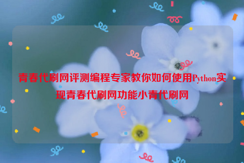 青春代刷网评测编程专家教你如何使用Python实现青春代刷网功能小青代刷网