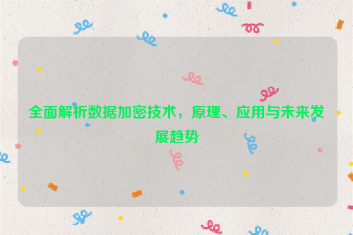 全面解析数据加密技术，原理、应用与未来发展趋势