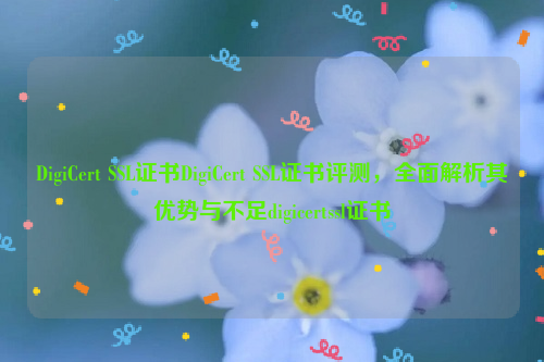 DigiCert SSL证书DigiCert SSL证书评测，全面解析其优势与不足digicertssl证书