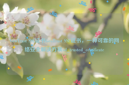 GeoTrust SSL证书GeoTrust SSL证书，一种可靠的网络安全解决方案ssl_trusted_certificate