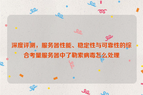 深度评测，服务器性能、稳定性与可靠性的综合考量服务器中了勒索病毒怎么处理