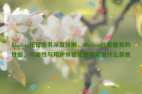 Bluehost托管服务深度评测，Bluehost托管服务的性能、可靠性与用户体验托管服务器什么意思