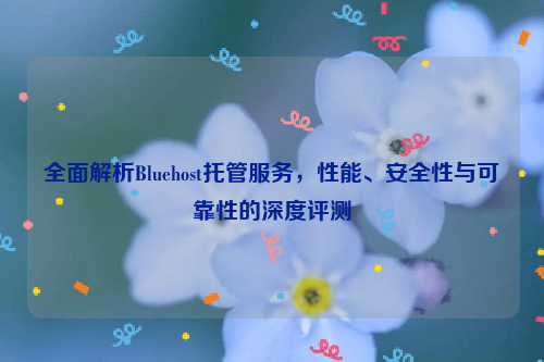 全面解析Bluehost托管服务，性能、安全性与可靠性的深度评测