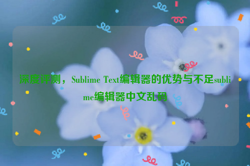 深度评测，Sublime Text编辑器的优势与不足sublime编辑器中文乱码