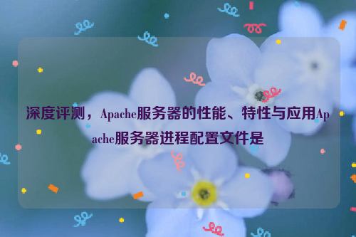 深度评测，Apache服务器的性能、特性与应用Apache服务器进程配置文件是