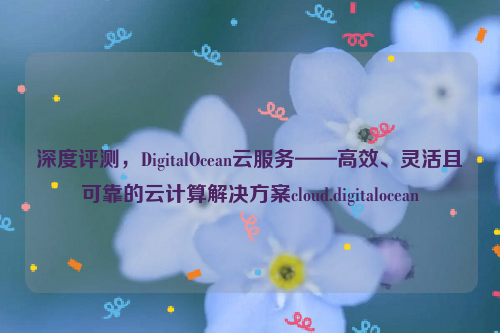 深度评测，DigitalOcean云服务——高效、灵活且可靠的云计算解决方案cloud.digitalocean