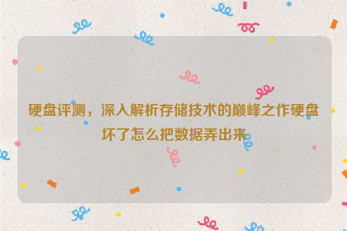 硬盘评测，深入解析存储技术的巅峰之作硬盘坏了怎么把数据弄出来