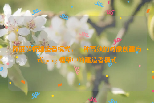 深度解析建造者模式，一种高效的对象创建方式spring 框架中的建造者模式