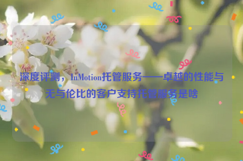 深度评测，InMotion托管服务——卓越的性能与无与伦比的客户支持托管服务是啥