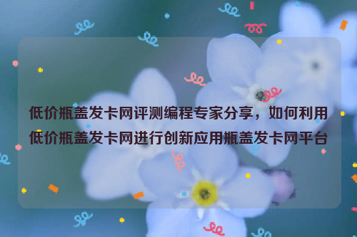 低价瓶盖发卡网评测编程专家分享，如何利用低价瓶盖发卡网进行创新应用瓶盖发卡网平台