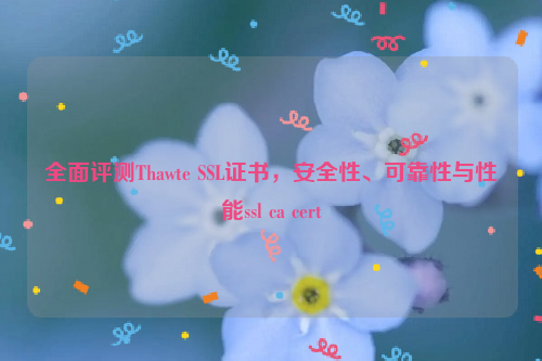 全面评测Thawte SSL证书，安全性、可靠性与性能ssl ca cert