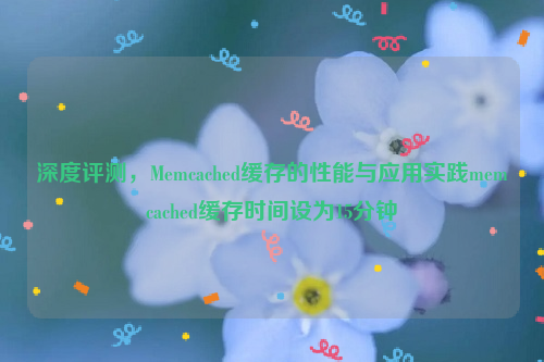 深度评测，Memcached缓存的性能与应用实践memcached缓存时间设为15分钟