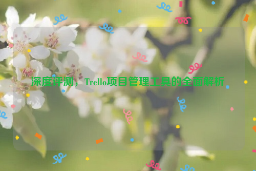 深度评测，Trello项目管理工具的全面解析