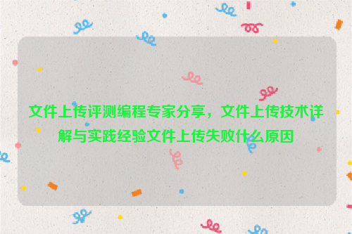 文件上传评测编程专家分享，文件上传技术详解与实践经验文件上传失败什么原因