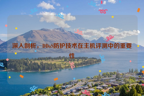 深入剖析，DDoS防护技术在主机评测中的重要性