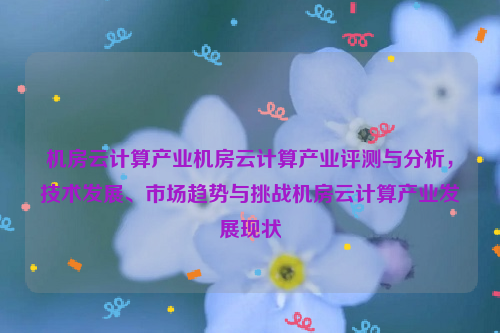 机房云计算产业机房云计算产业评测与分析，技术发展、市场趋势与挑战机房云计算产业发展现状