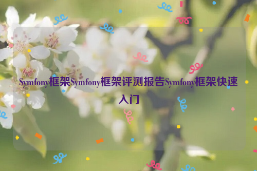 Symfony框架Symfony框架评测报告Symfony框架快速入门