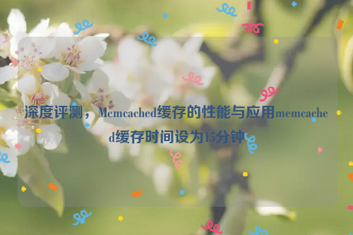 深度评测，Memcached缓存的性能与应用memcached缓存时间设为15分钟