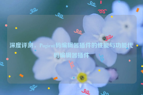 深度评测，Pugient码编辑器插件的性能与功能代码编辑器插件